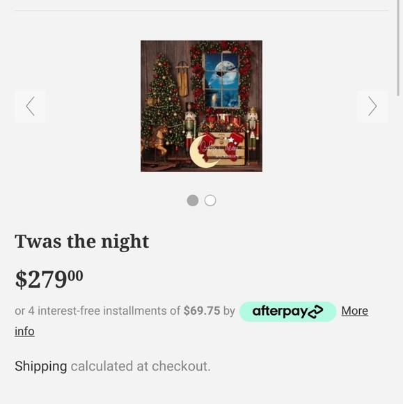 PHOTO BACKDROP - Picture 2 of 2